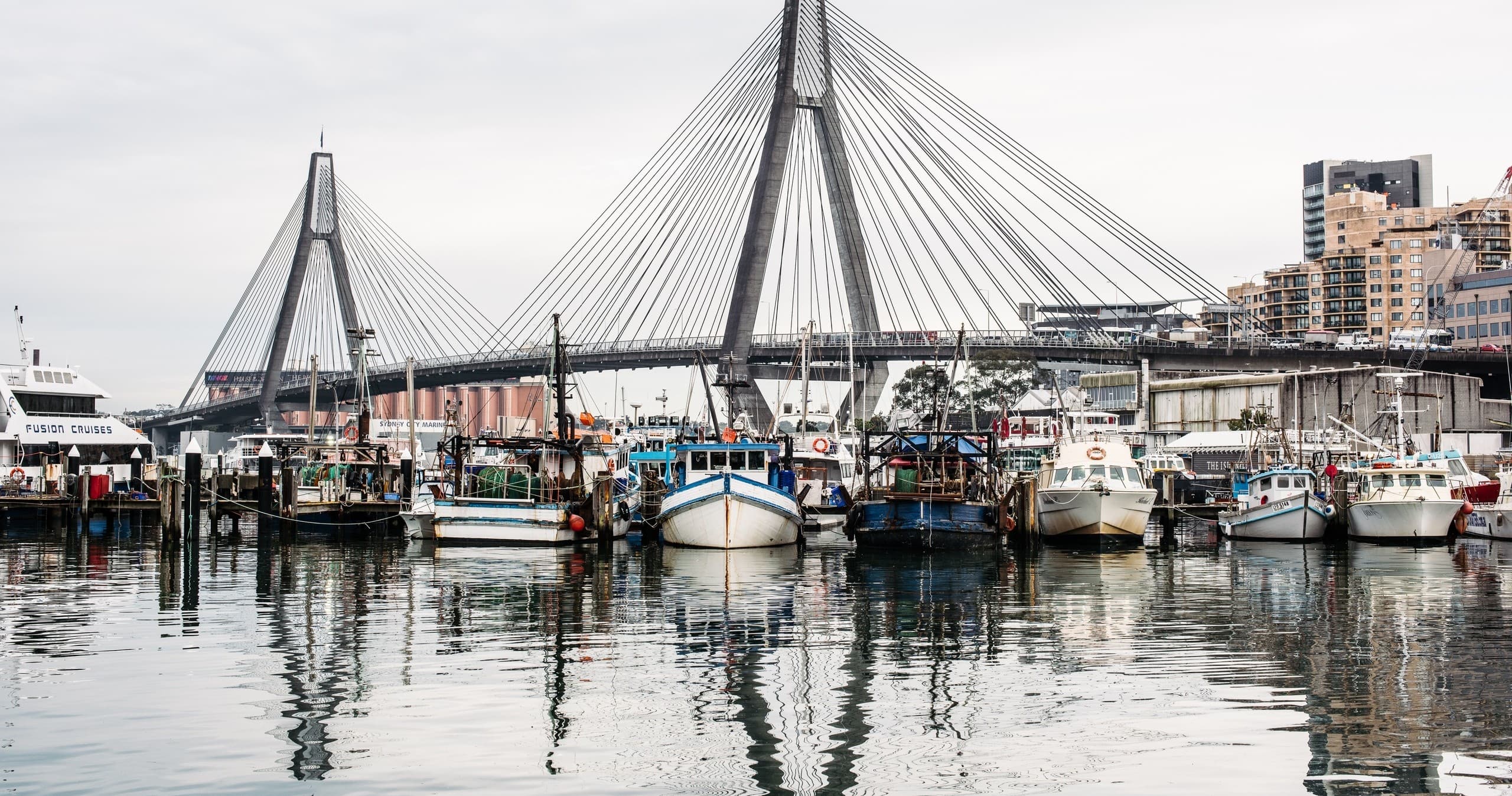Fishing boats moored by Sydney waterfront near fish market dawn
