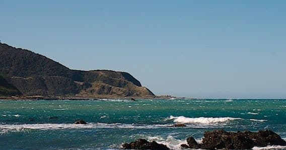Top of the South with Koru Scenic Tours: A 5-Day New Zealand Journey