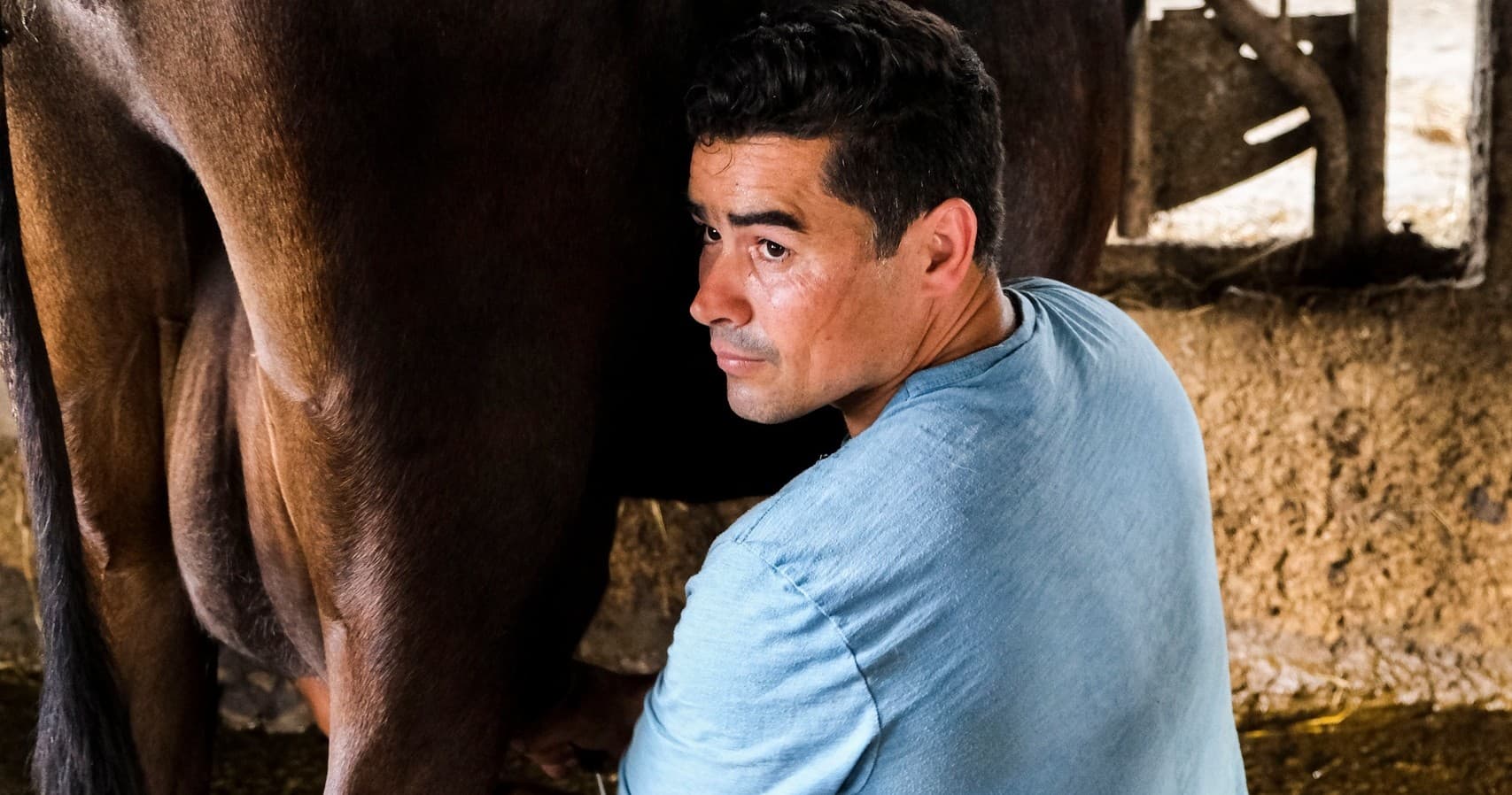 Experience São Miguel’s Certified Raw Milk: Fresh, Creamy, and Sustainably Sourced
