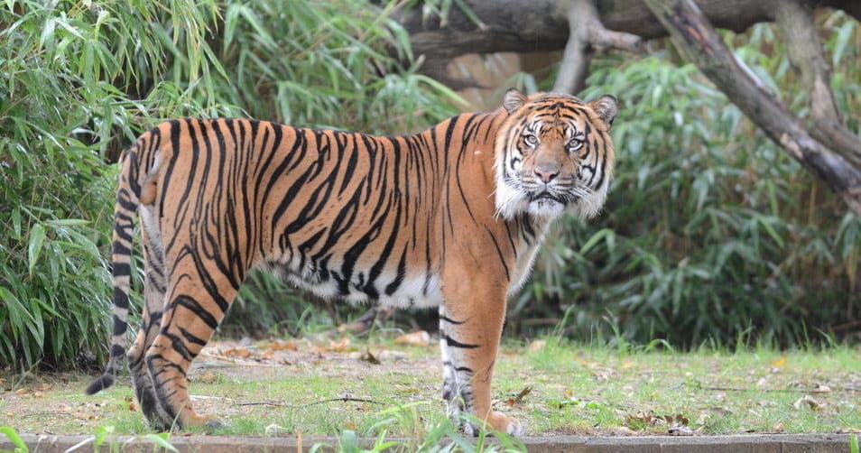 Into the Wild: Explore Wildlife Education in Denver, CO