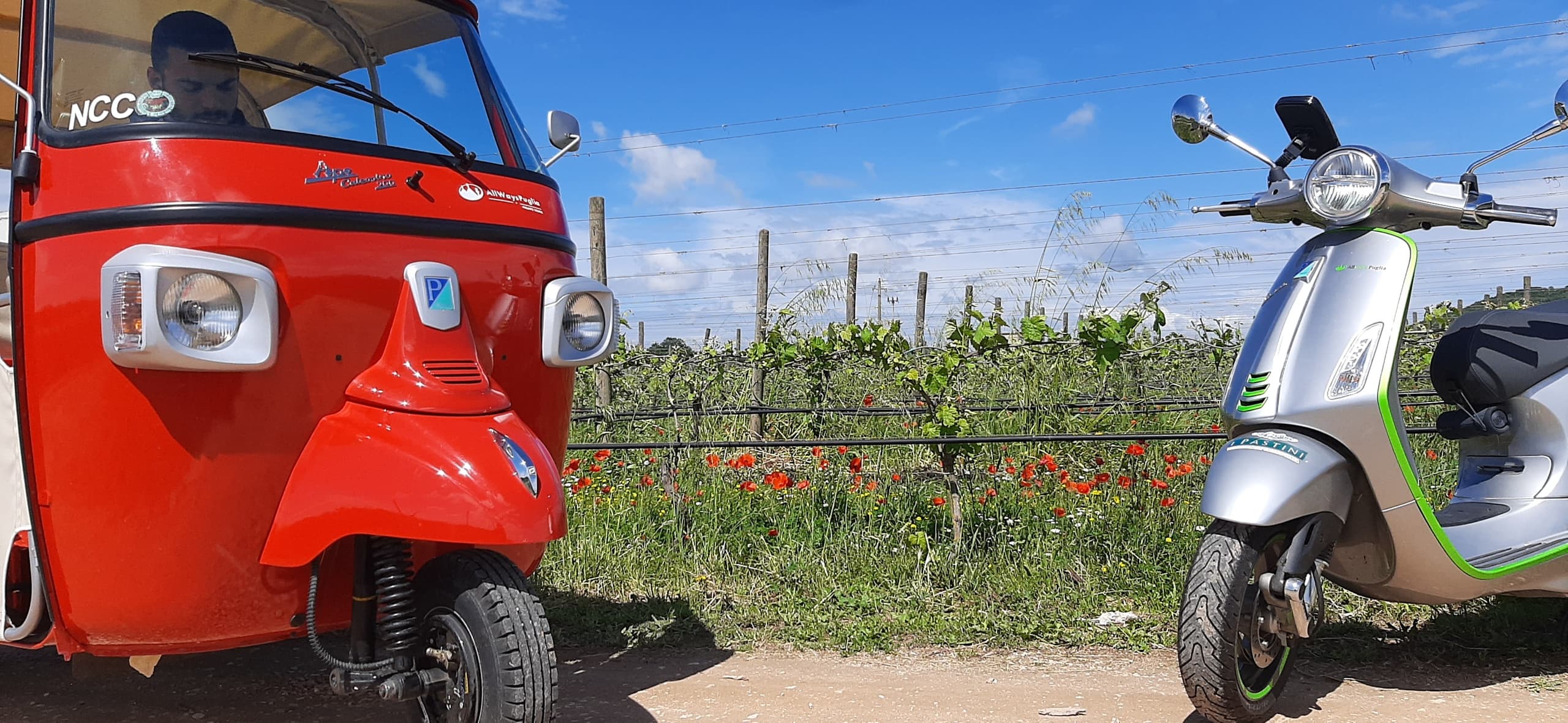 Cultural & Scenic Audio Tour with AllWays Puglia