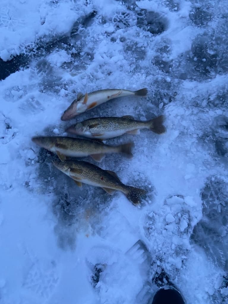 Chase the Night Bite: Guided Walleye Ice Fishing in Southeastern Wisconsin photo 2
