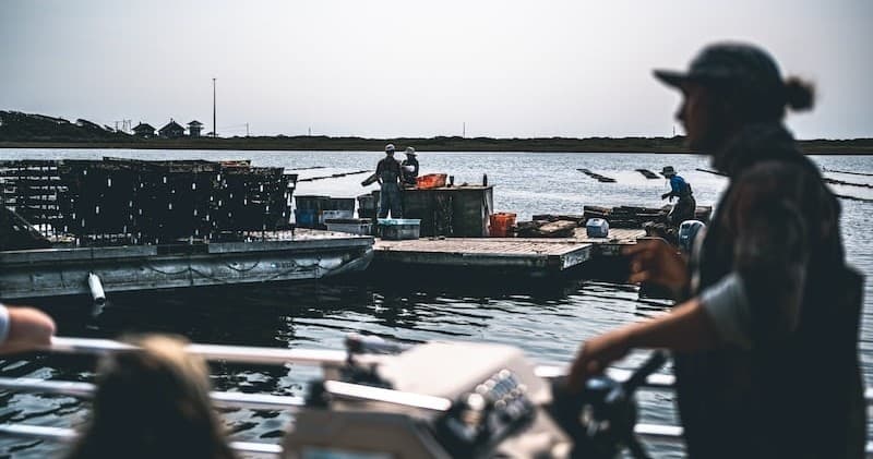 Oyster Farm Tour with Nantucket By Water
