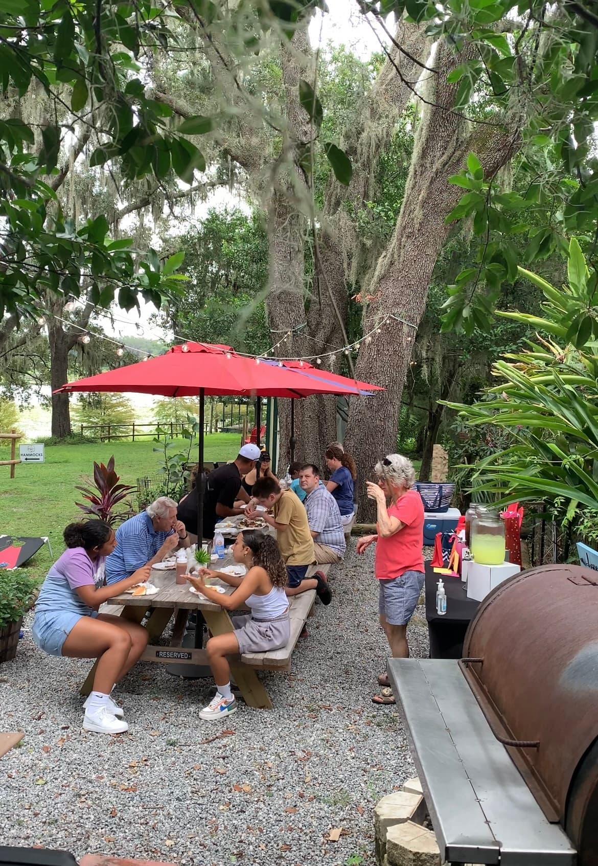 Land Adventures at Lion's Share BBQ Experience in Lake City