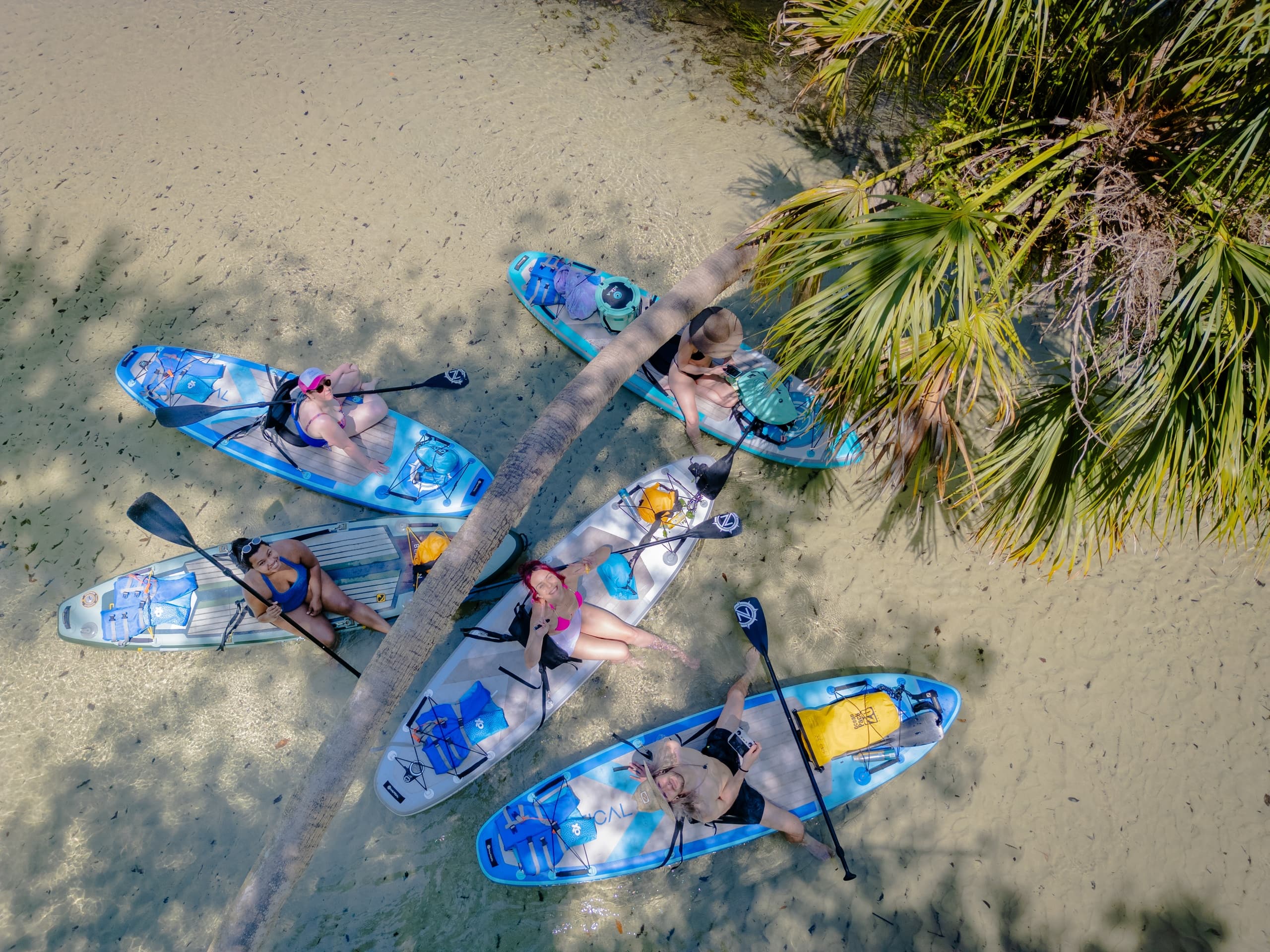 Paddleboarders in shallow Florida mangrove lagoon on guided tour