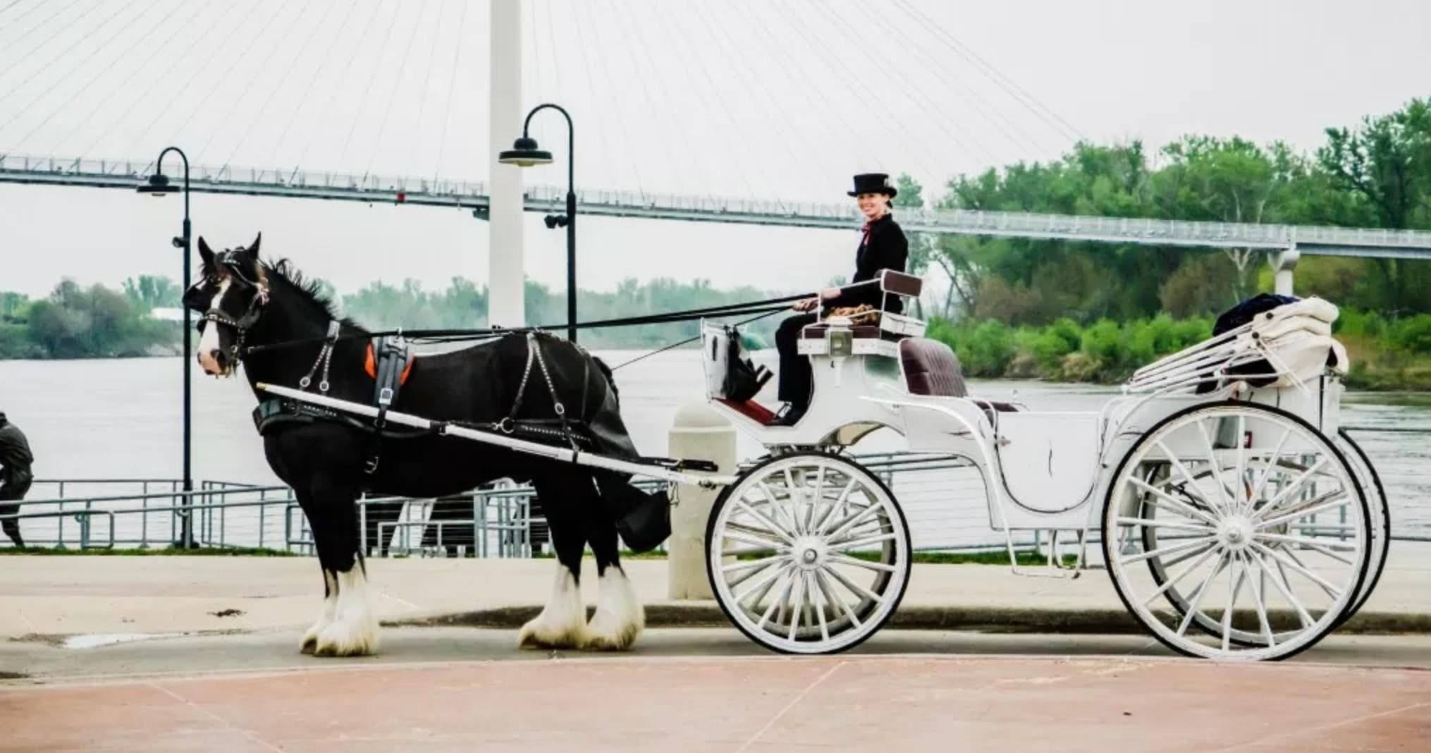 City Tour & Sightseeing with Magical Journeys Carriage Service