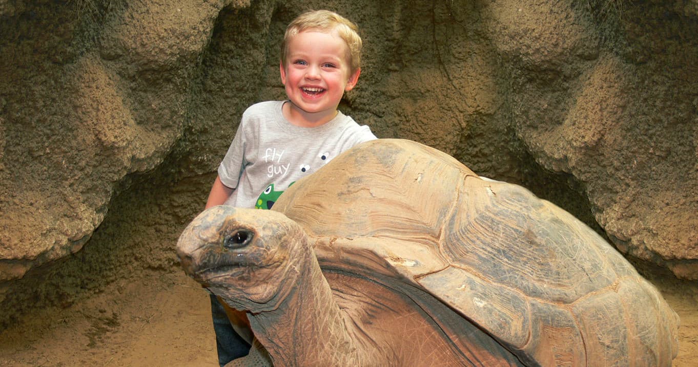Wildlife & Animal Encounters at Clyde Peeling's Reptiland