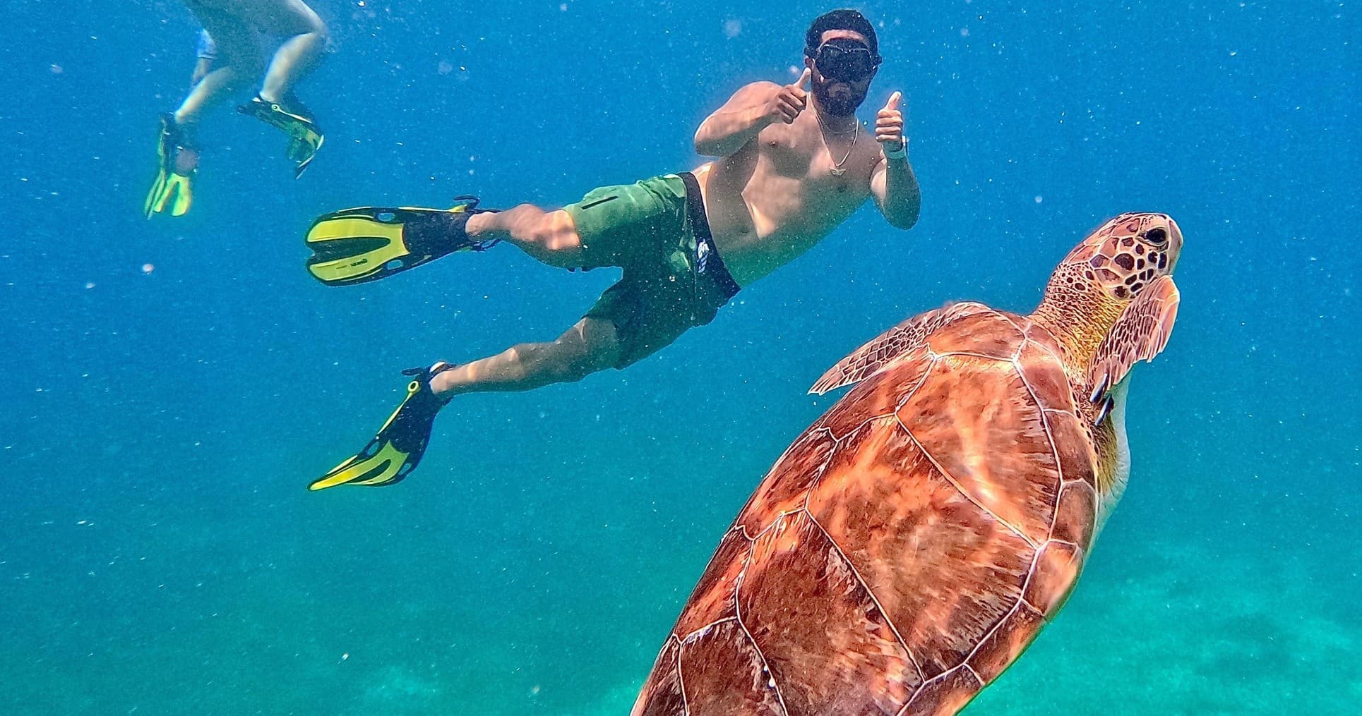 Snorkeler swimming alongside sea turtle in clear Caribbean reef waters