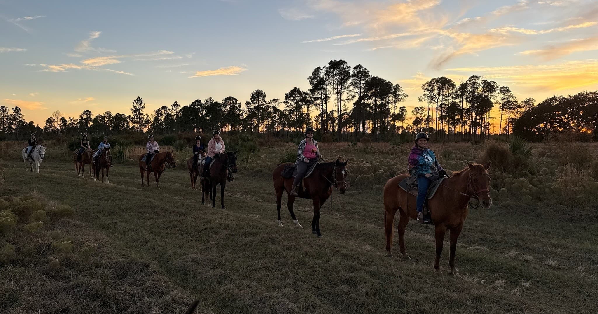 Sorrento Horseback Trail Ride: 90-Minute Guided Ride Through Central Florida Flatwoods photo 2
