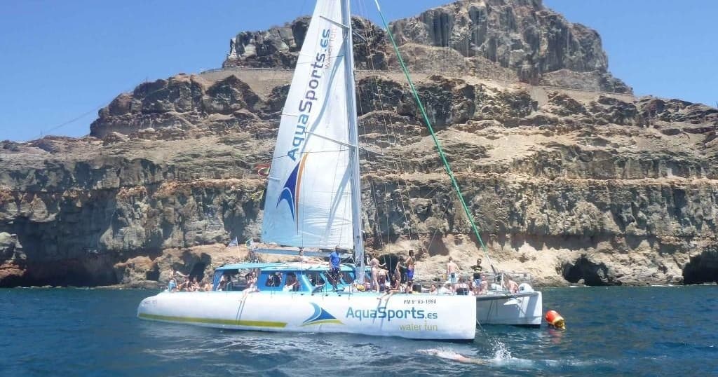 Catamarán Magic 3 Dolphin Tour in Las Palmas, Spain