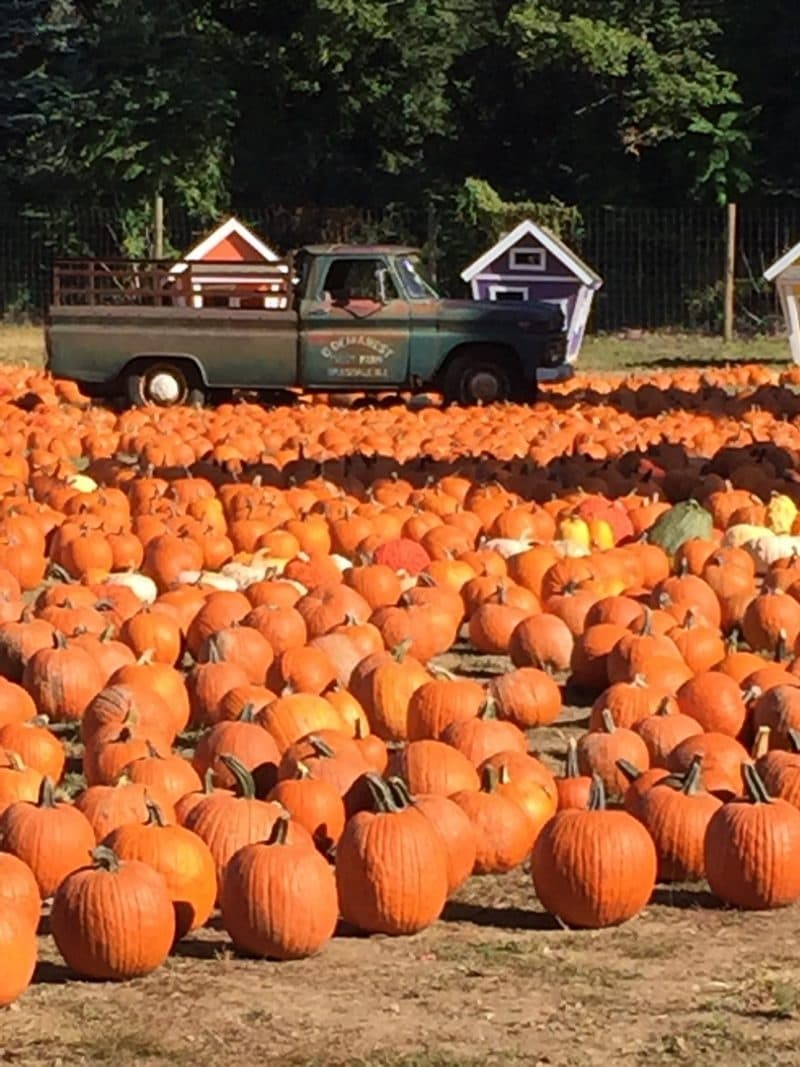 Demarest Farms fleet