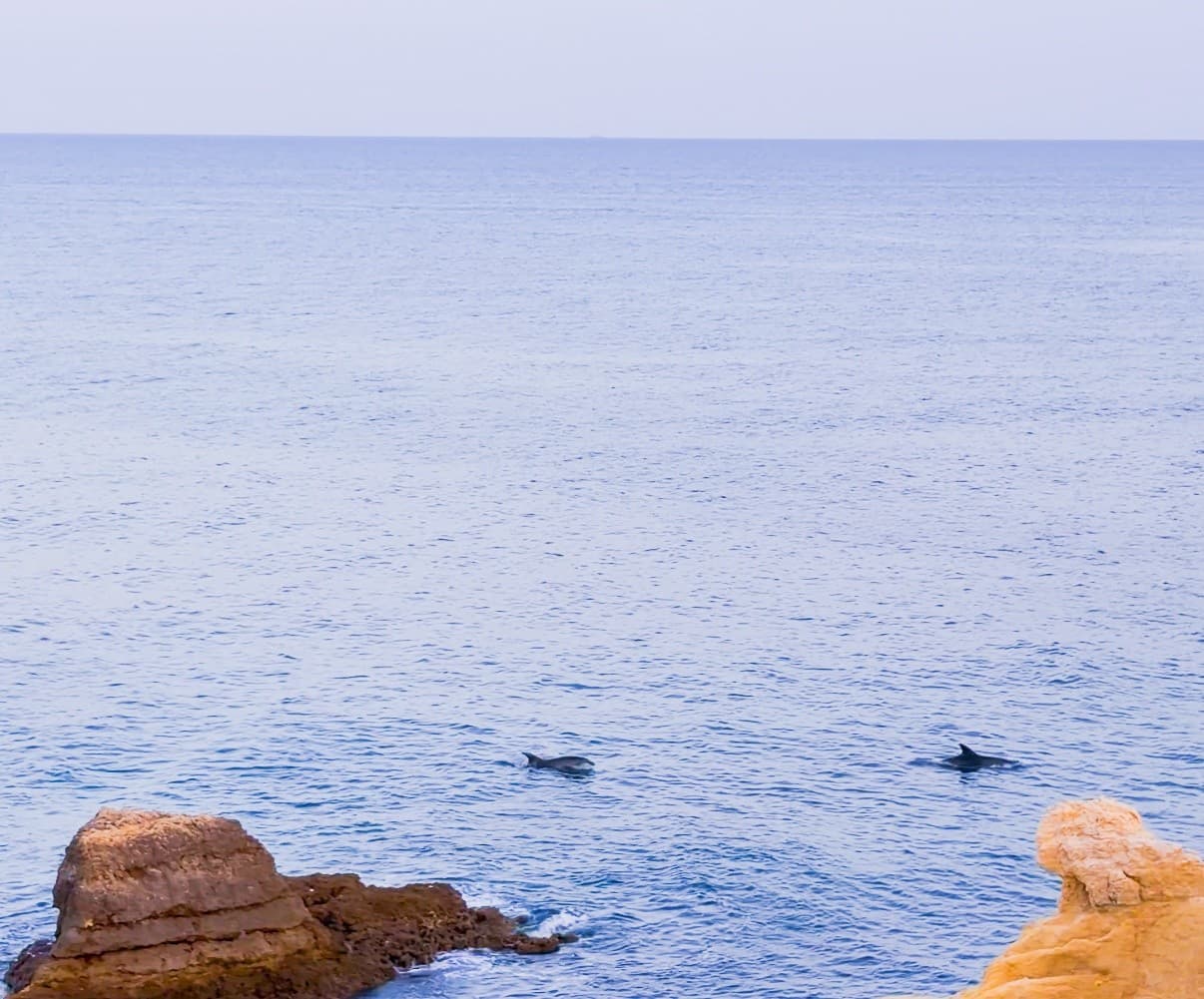 Sunset at Praia dos Arrifes: Evening Coastal Cruise with Blue Wave Algarve photo 2