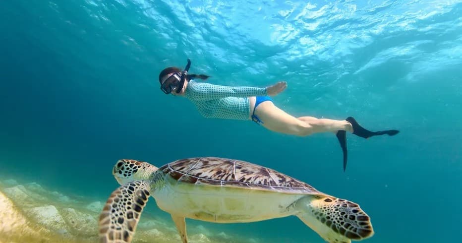 Private Turtle Canyon Snorkeling Cruise in Honolulu