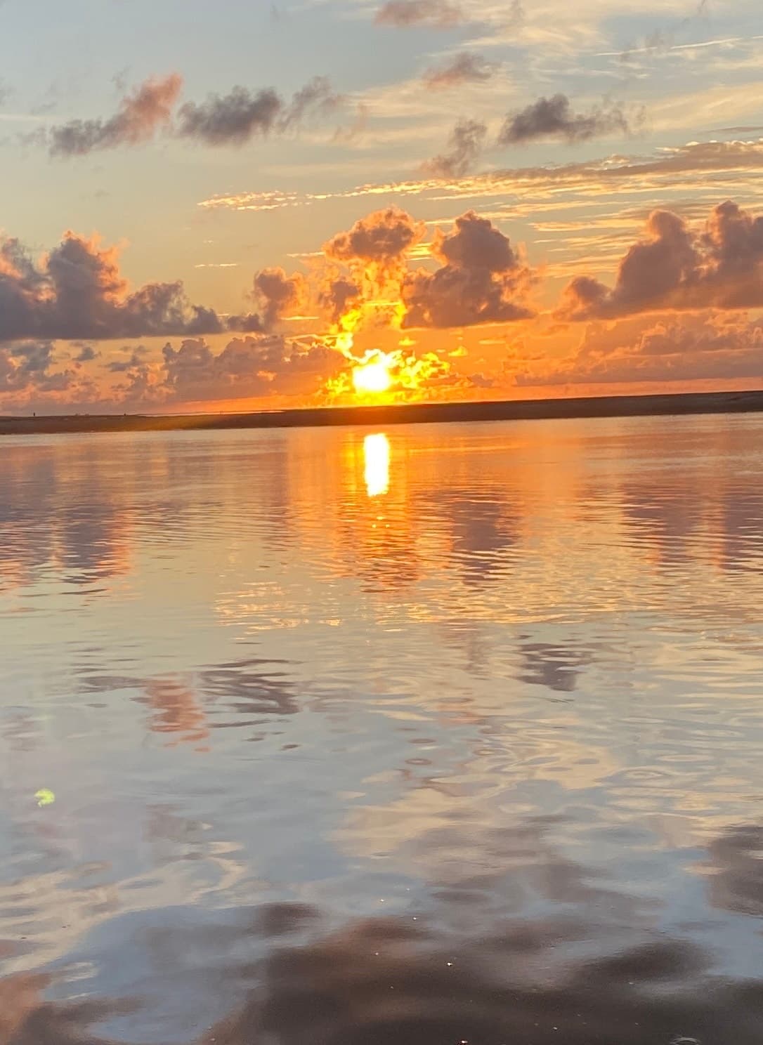 Sunset Dolphin Tour Near Tybee Island: A Magical Evening on Georgia’s Coastal Waters