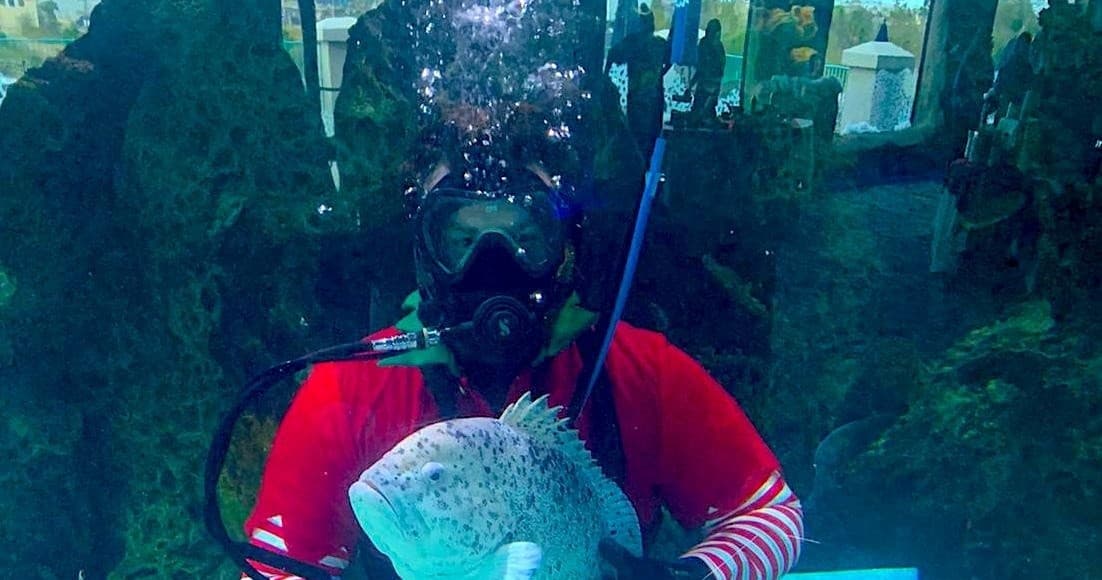 Marine Biologist for a Day in Kemah, Texas