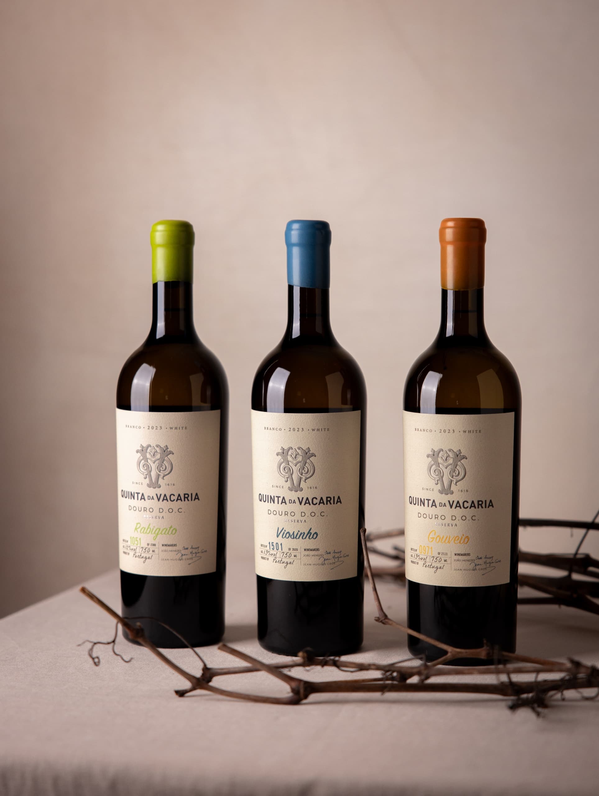 Discover the Unique Flavors of Quinta da Vacaria: The Adega SOUL Wine Tasting Experience
