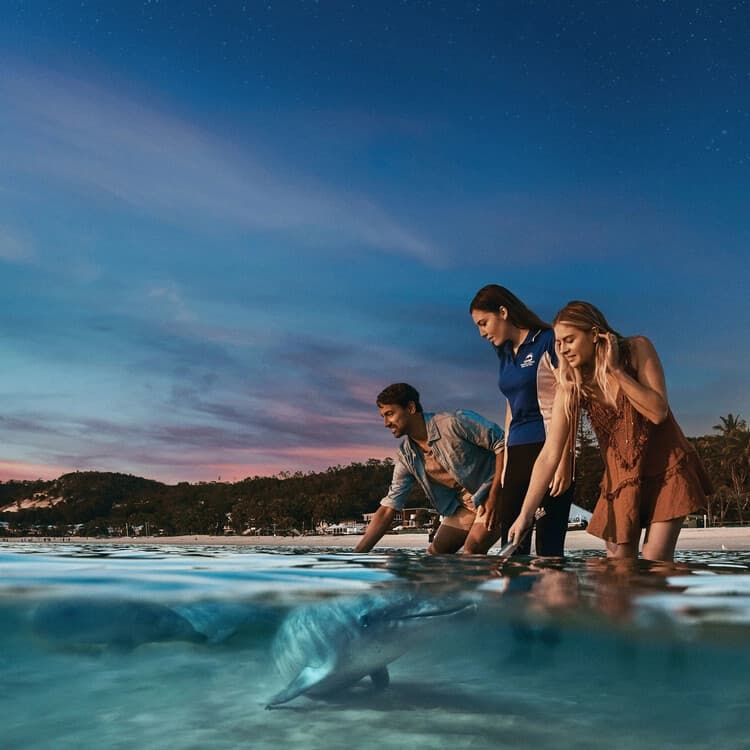 Tangalooma Aquatic Adventure Day Cruise — Snorkel, Kayak & SUP on Moreton Island