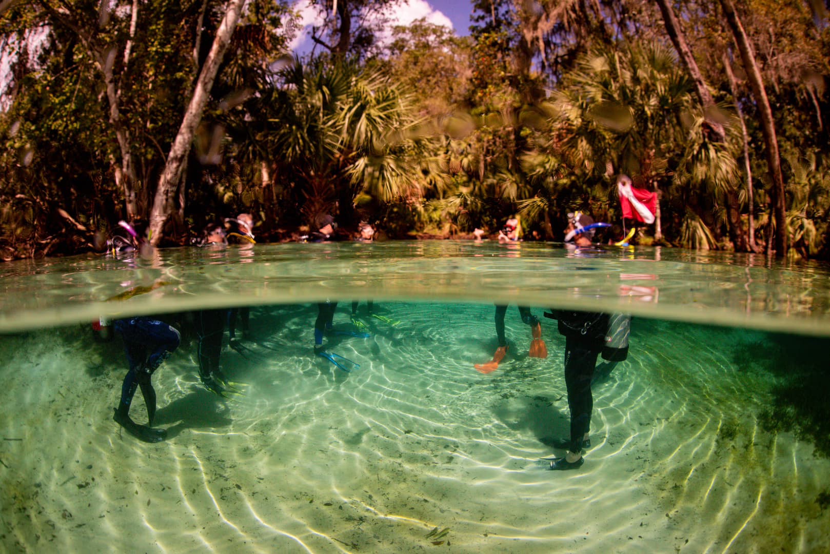 Scuba Diving Experience at Bird’s Underwater