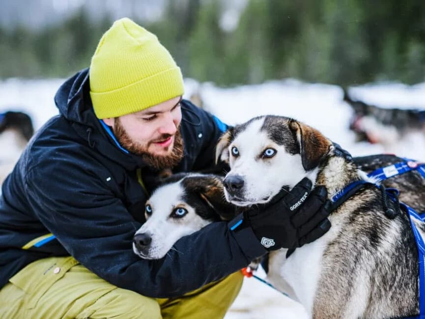 Drive a Husky Team: 5km Safari in Saariselkä near Rovaniemi photo 1