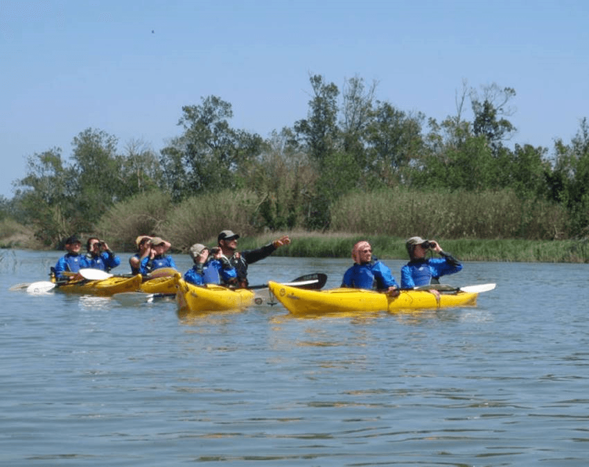 Paddle with Birds: Ornitokayak Birdwatching Kayak through Aiguamolls de l'Empordà