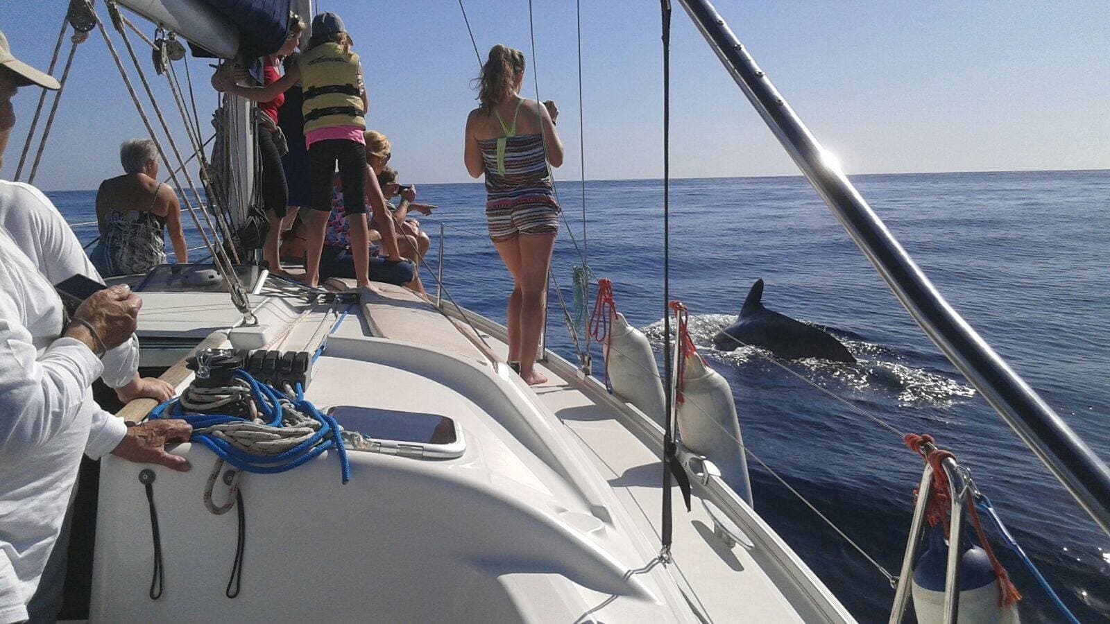 Breakfast at Sea with Velero Seaquestff Costa Adeje