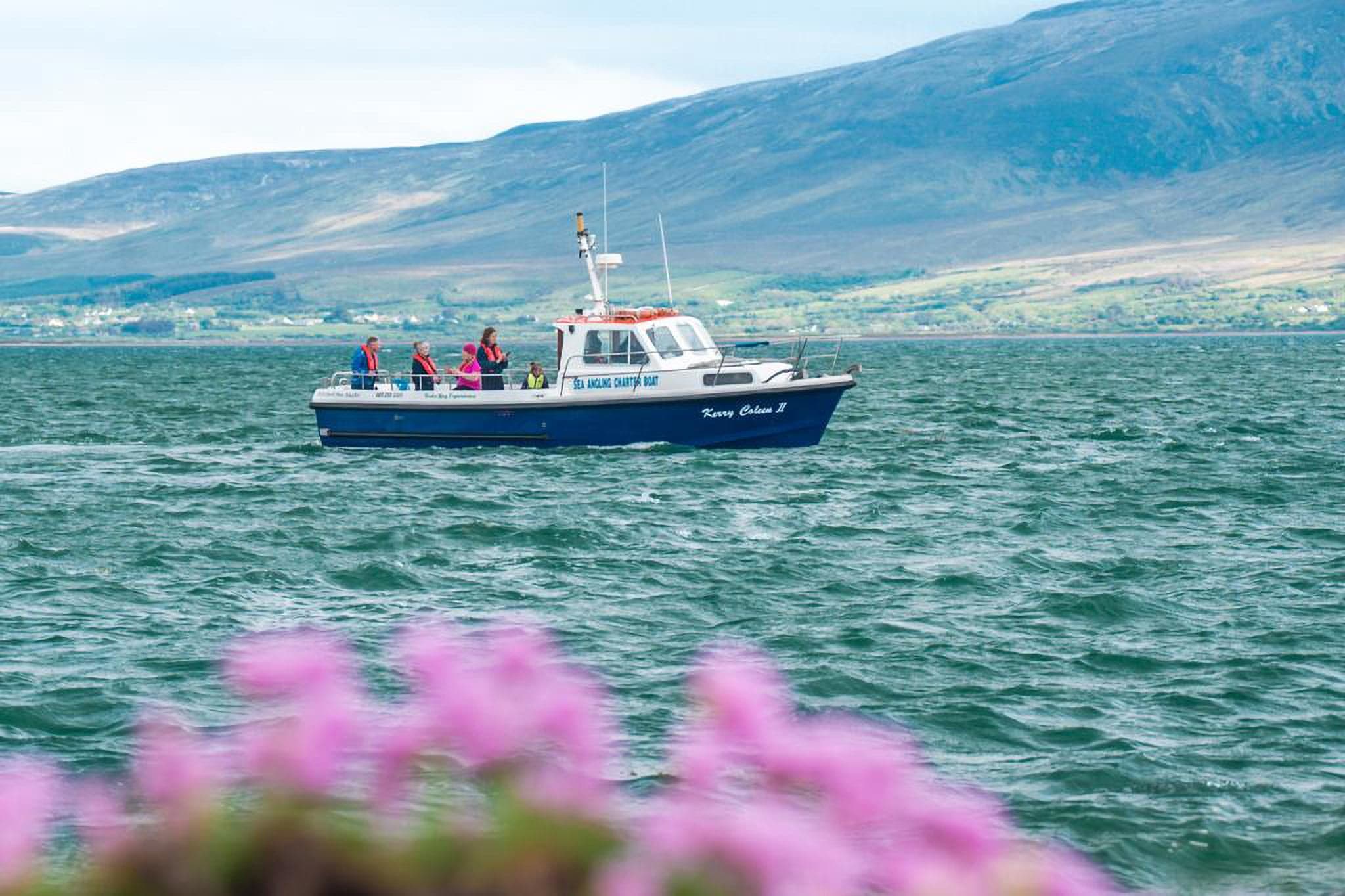Tour boat cruising Tralee Bay with coastal mountains and flowers