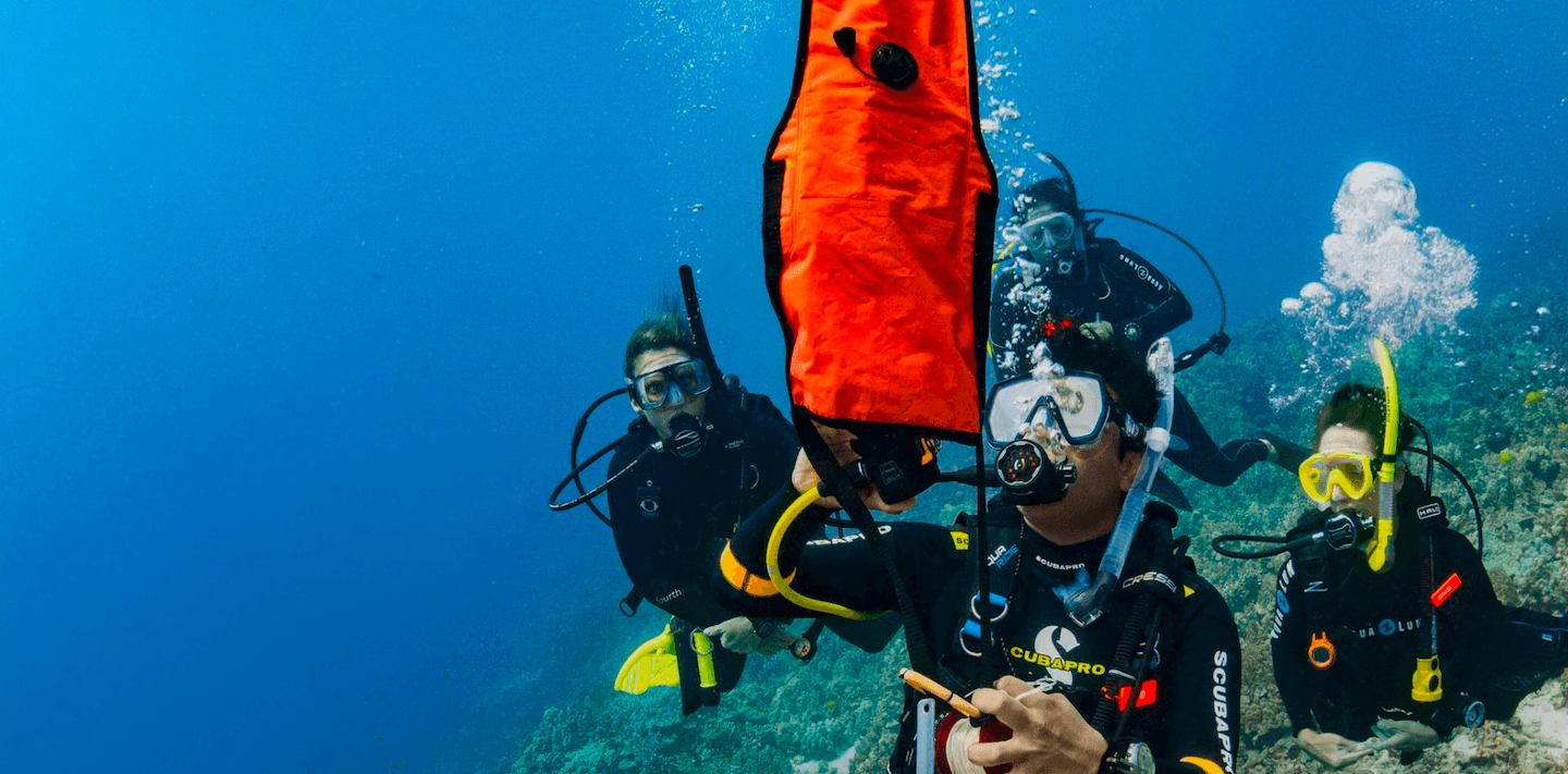 Master Underwater Navigation: Three-Dive Specialty Course in Monterey, California
