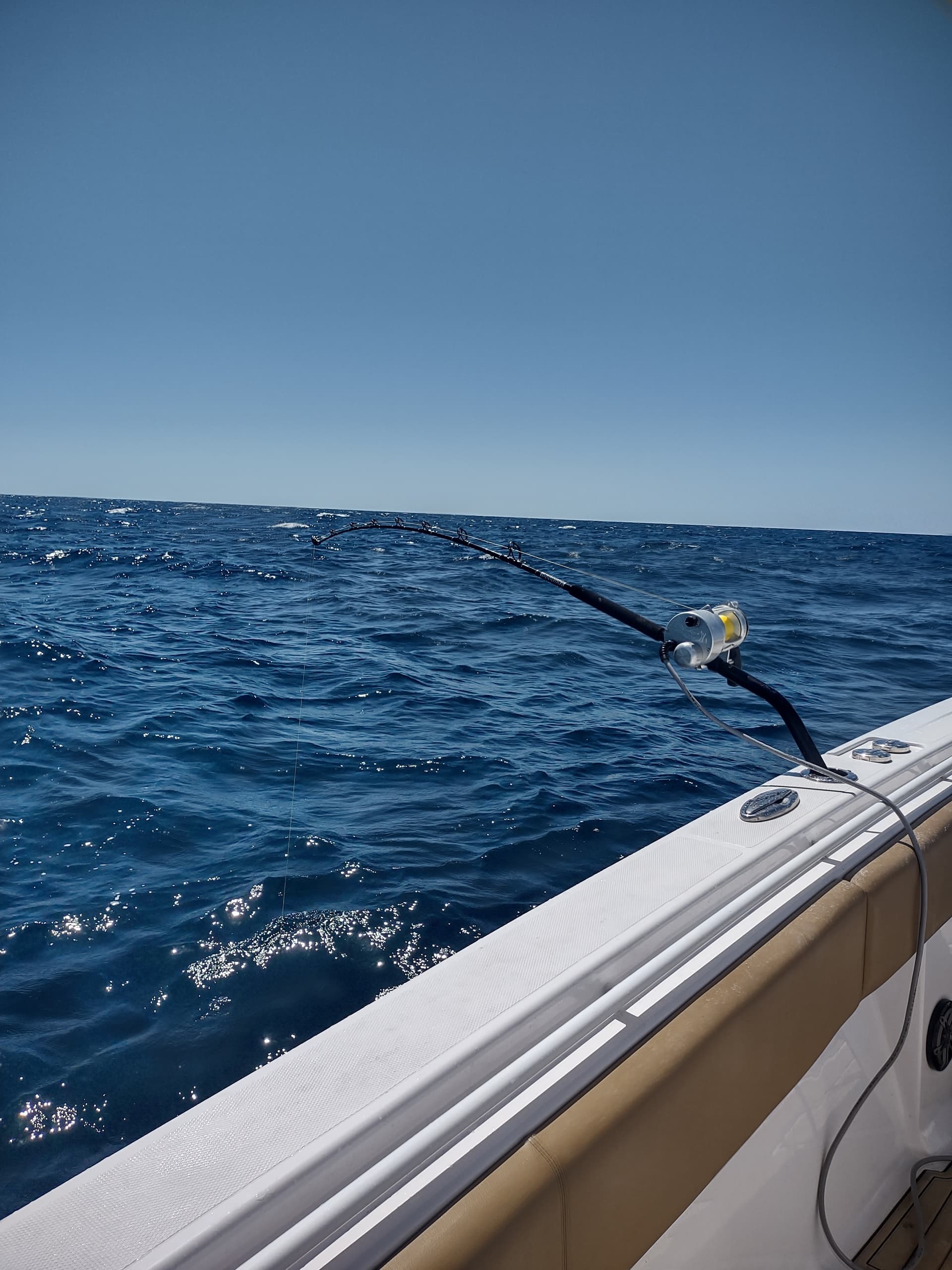 Daytime Swordfish Fishing with Deep Charters in Florida