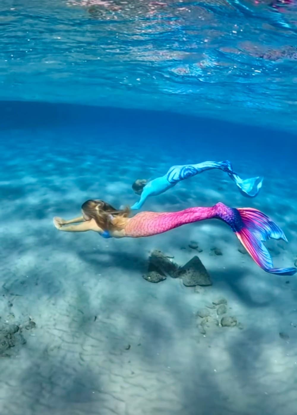 Become A Mermaid! Private Adventure in Riviera Beach, FL