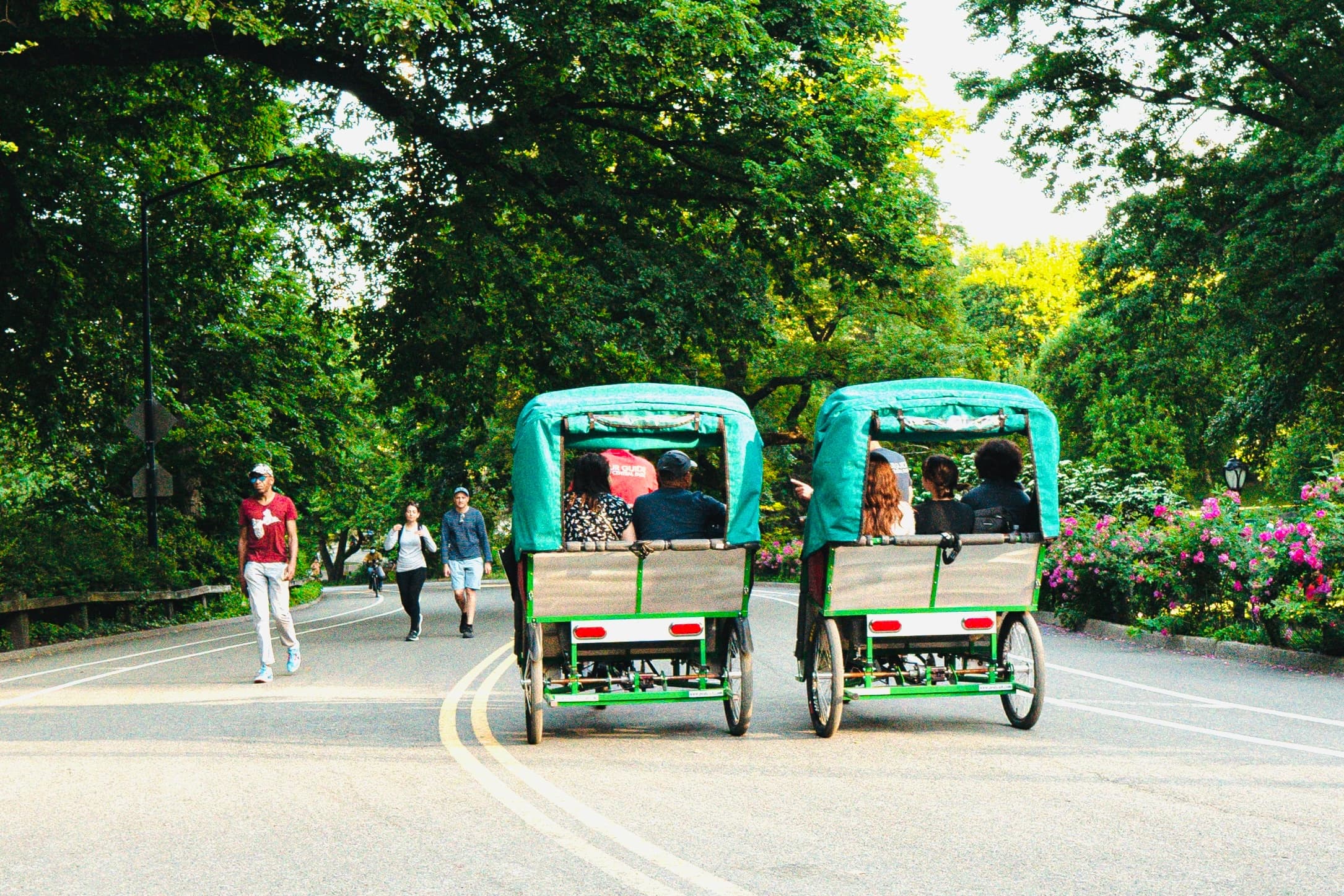 Celebrity & Movie Tour with Experience NYC in Central Park