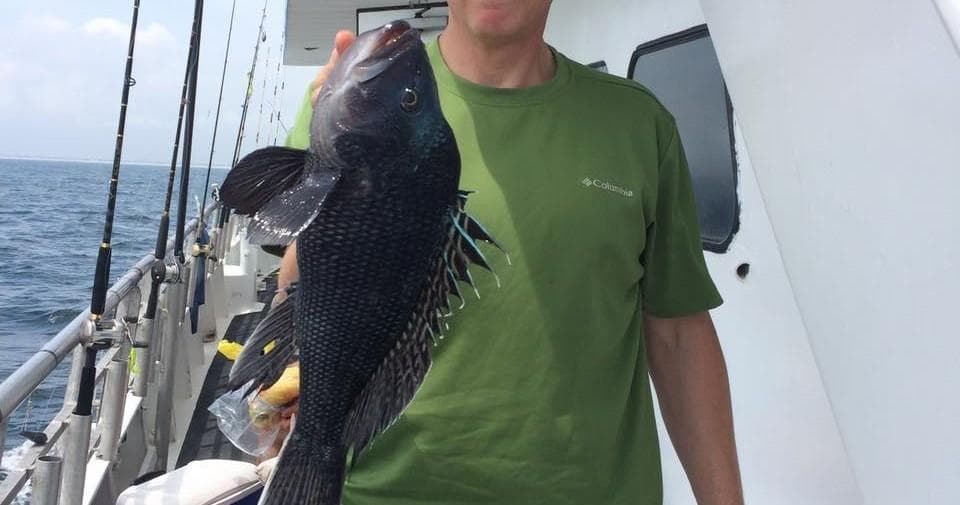 Fishing Adventure with Jamaica II: Fluke & Seabass in the Local Waters