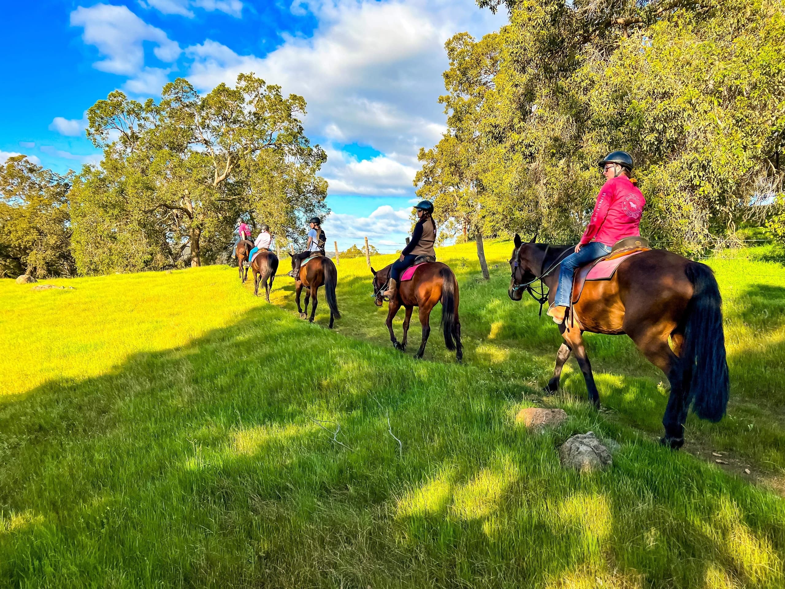 Explore Jarrahdale’s Scenic Hills on a 1 Hour Exclusive Horseback Ride