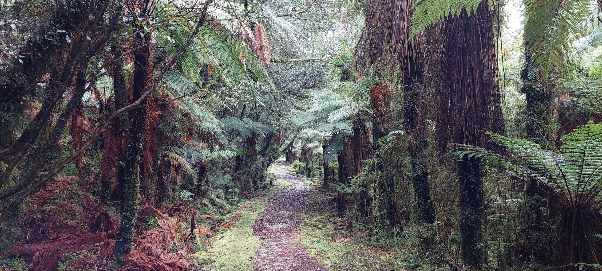 Welcome Flat Hot Spring Hike: Three-Day Guided Soak and Hike from Queenstown photo 4