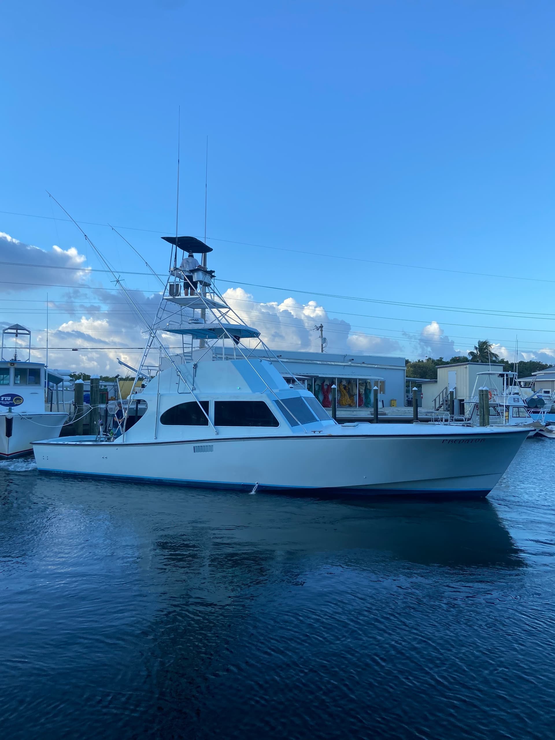 Fishing Charters at Zeke's Landing Marina: Predator Adventure Guide