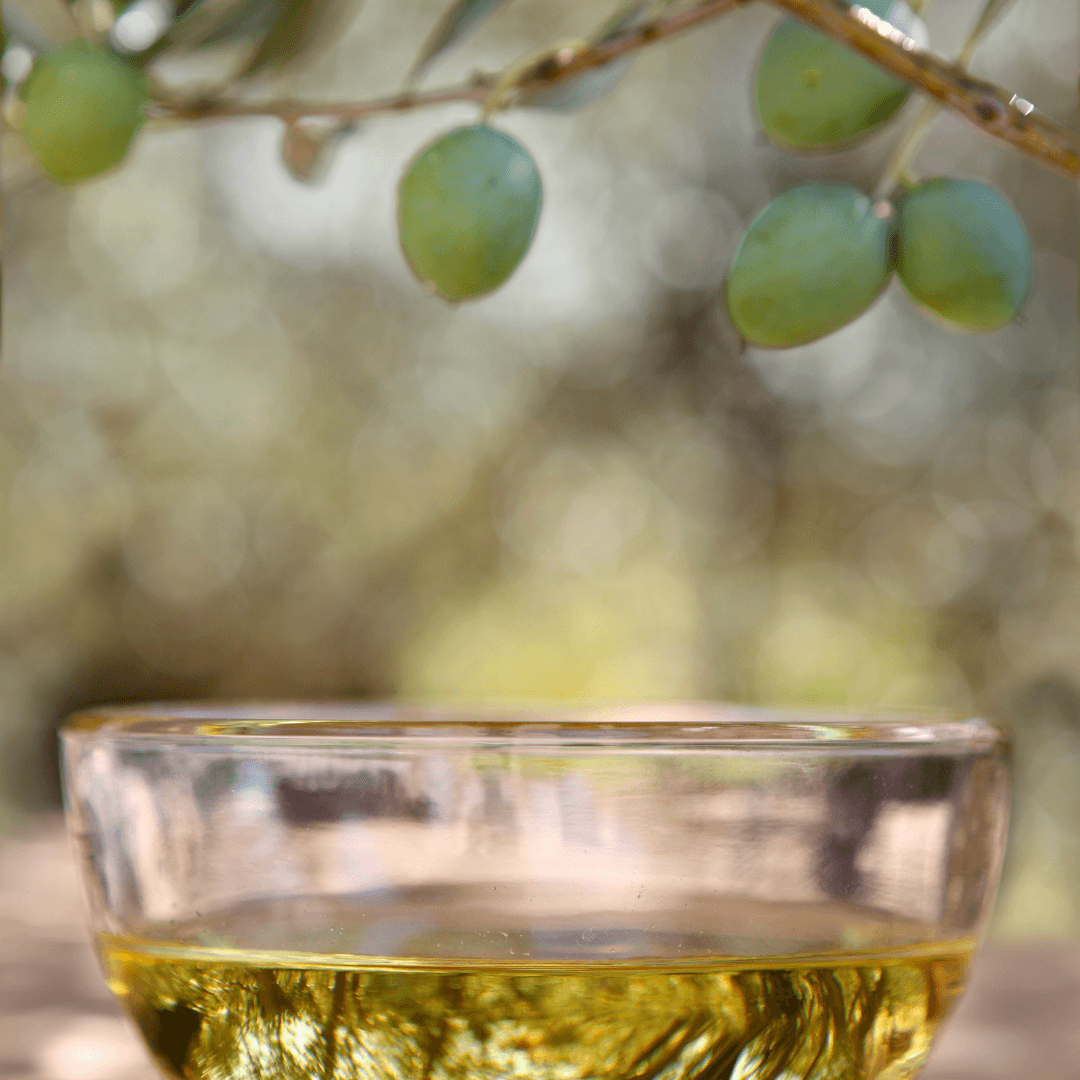 Olive Oil & Farm Tour at Umbria Olive Oil Farm