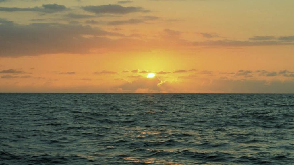 Water Activities with Sunset Sail in Puerto Vallarta