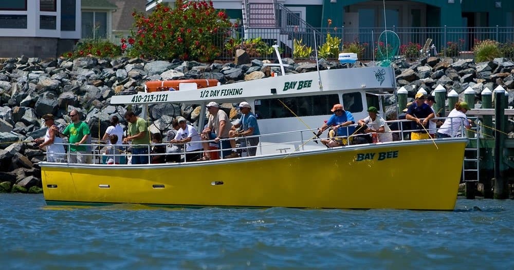 Ocean charter boat full of anglers departing harbor for fishing