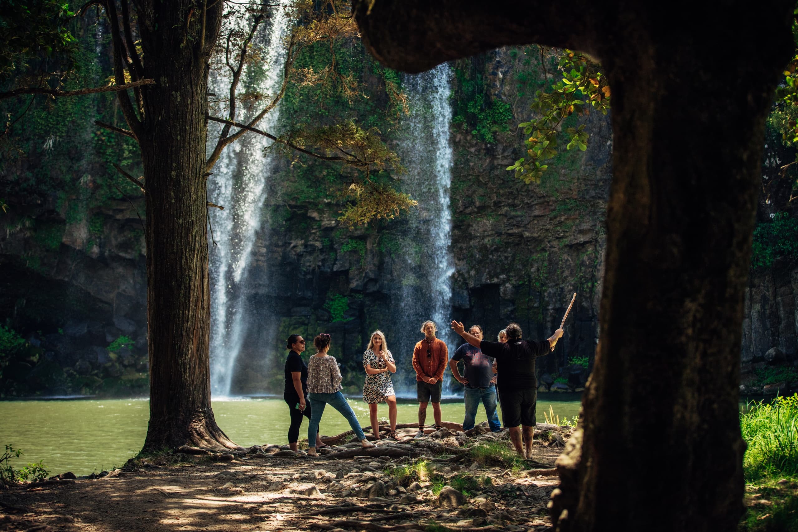 Explore Whangārei’s Waterfront: A Scenic Local-Led Walk Through History and Art