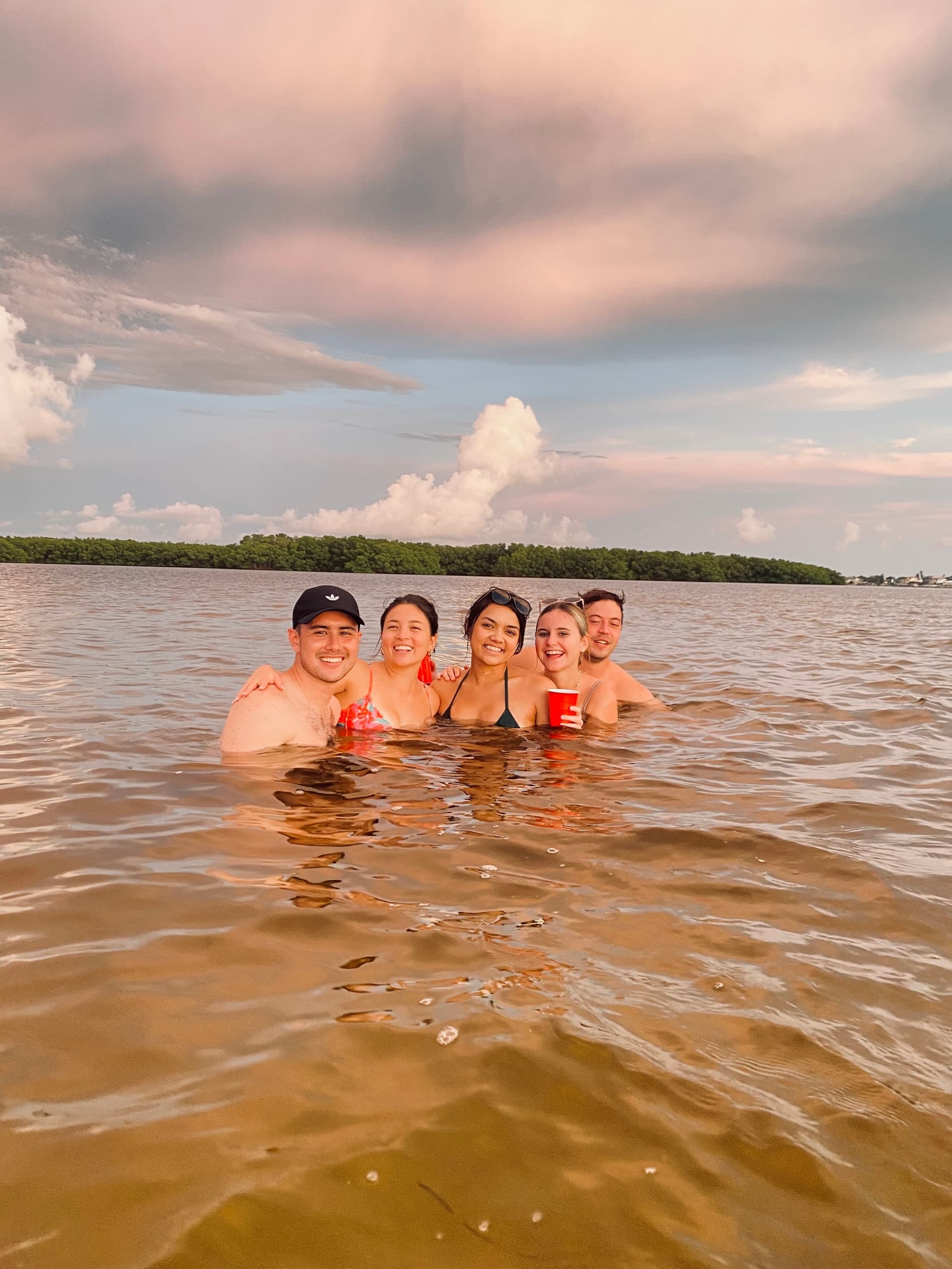 Private Sandbar Day from St. Petersburg — Dolphins, Shell Key & Seagrass Flats photo 1