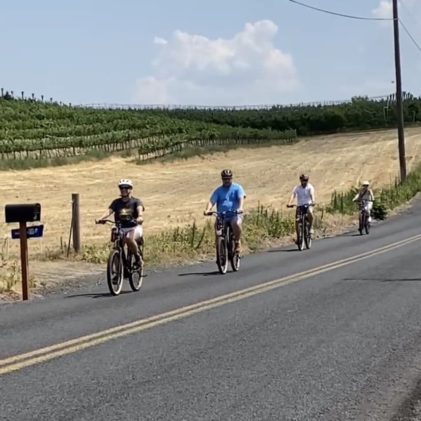 Group of cyclists pedaling along country road through vineyards