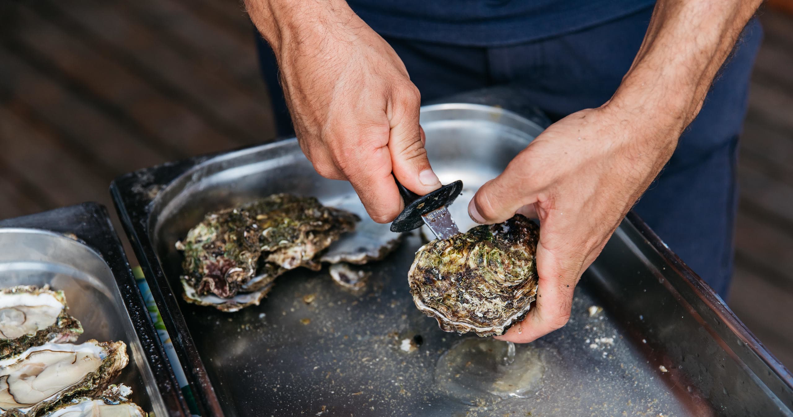 Water-Activities & Nautic Parc Costa Daurada I Terres De L’Ebre: Mussel Farm Tour