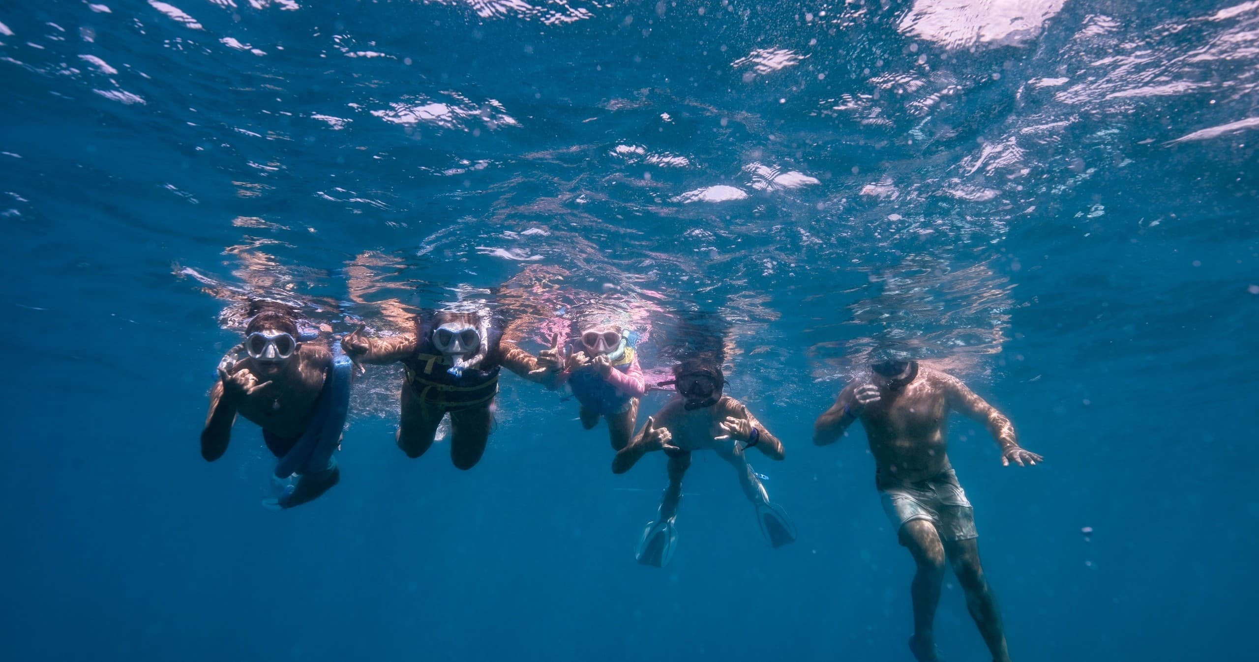 Turtle Canyons by Nautilus: Semi-Private Waikiki Snorkel Tour for Up-Close Honu Encounters photo 3