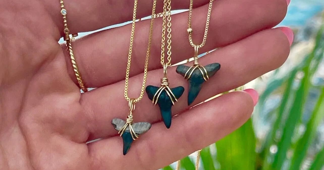 Make Your Own Sharktooth Necklace: 2-Hour Class on Clearwater's Gulf Coast