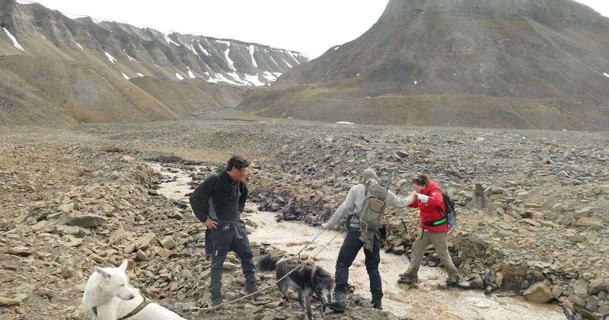 Mushers and sled dogs working across barren Arctic gravel landscape