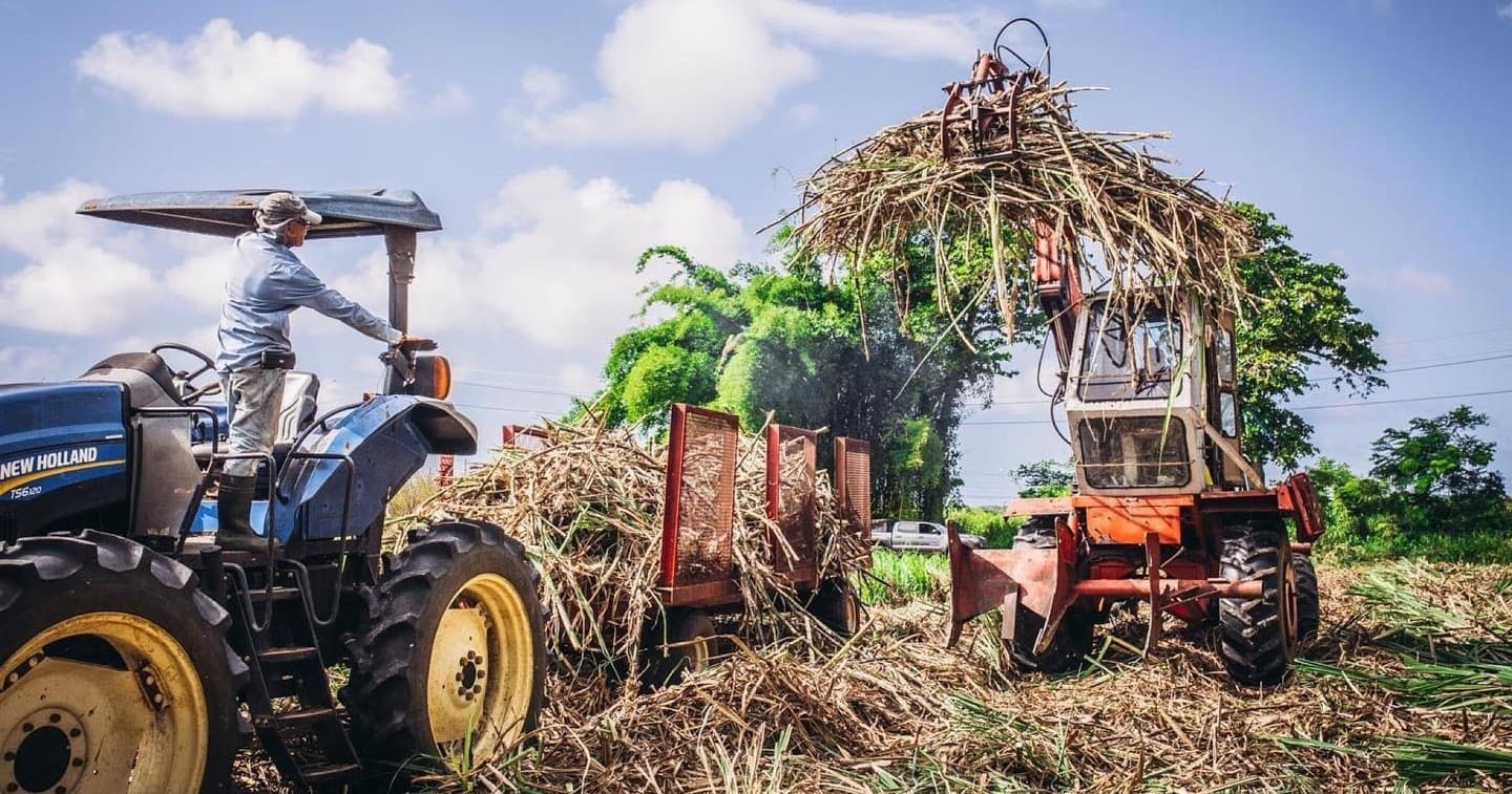 Sugarcane Estate Distillery Tour by San Juan Artisan Distillers
