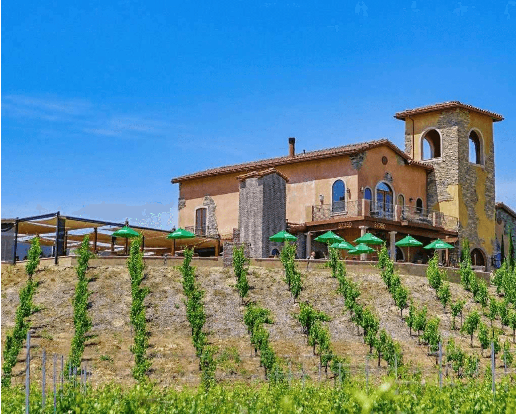 Temecula Winery Tours with Five Star Tours, San Diego