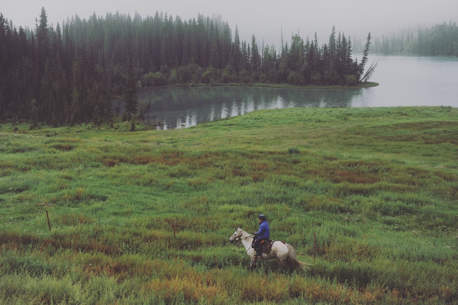 Horse Training at Ranger’s Ranch LLC: Building Bonds in Nature