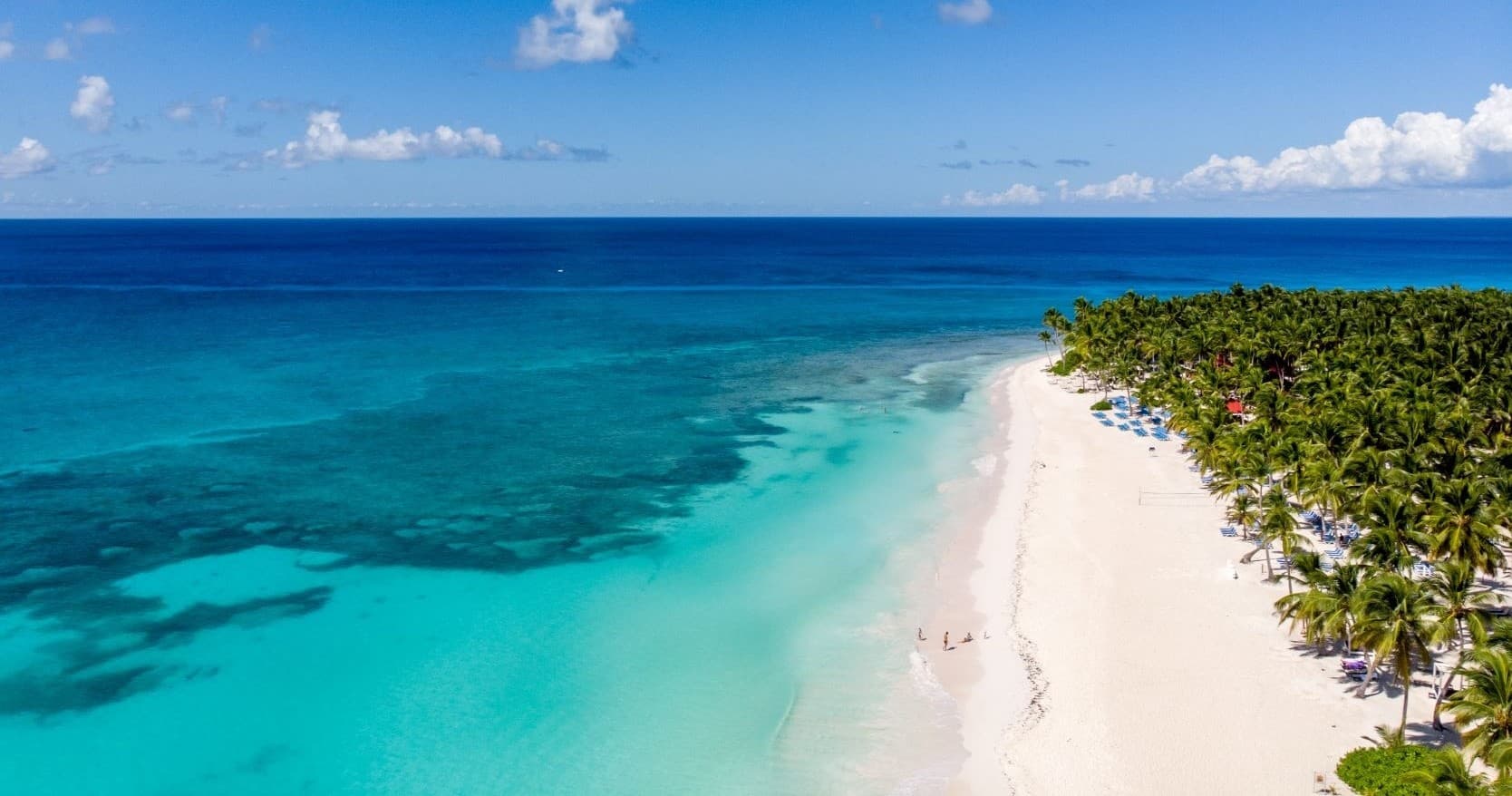 Aerial view of turquoise tropical beach and palm-lined shore