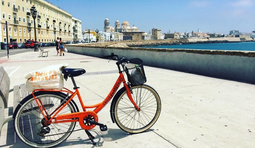 Orange rental bike parked on sunlit seaside promenade, coastal view