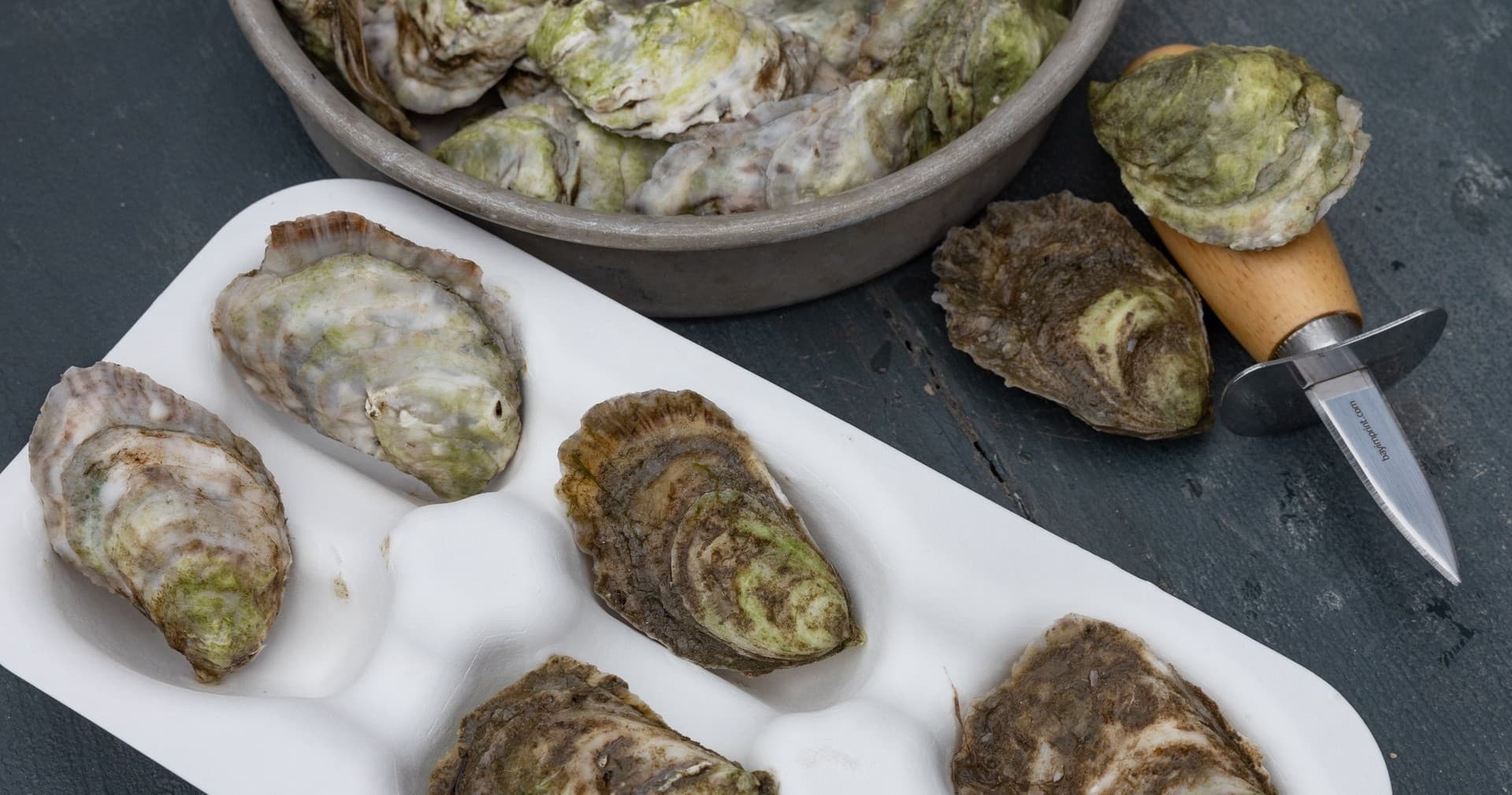 Shucked oysters on ice board, fresh coastal seafood tasting